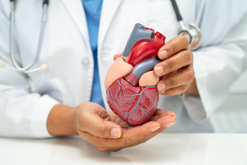 Best Cardiologist in Kanakapura Road